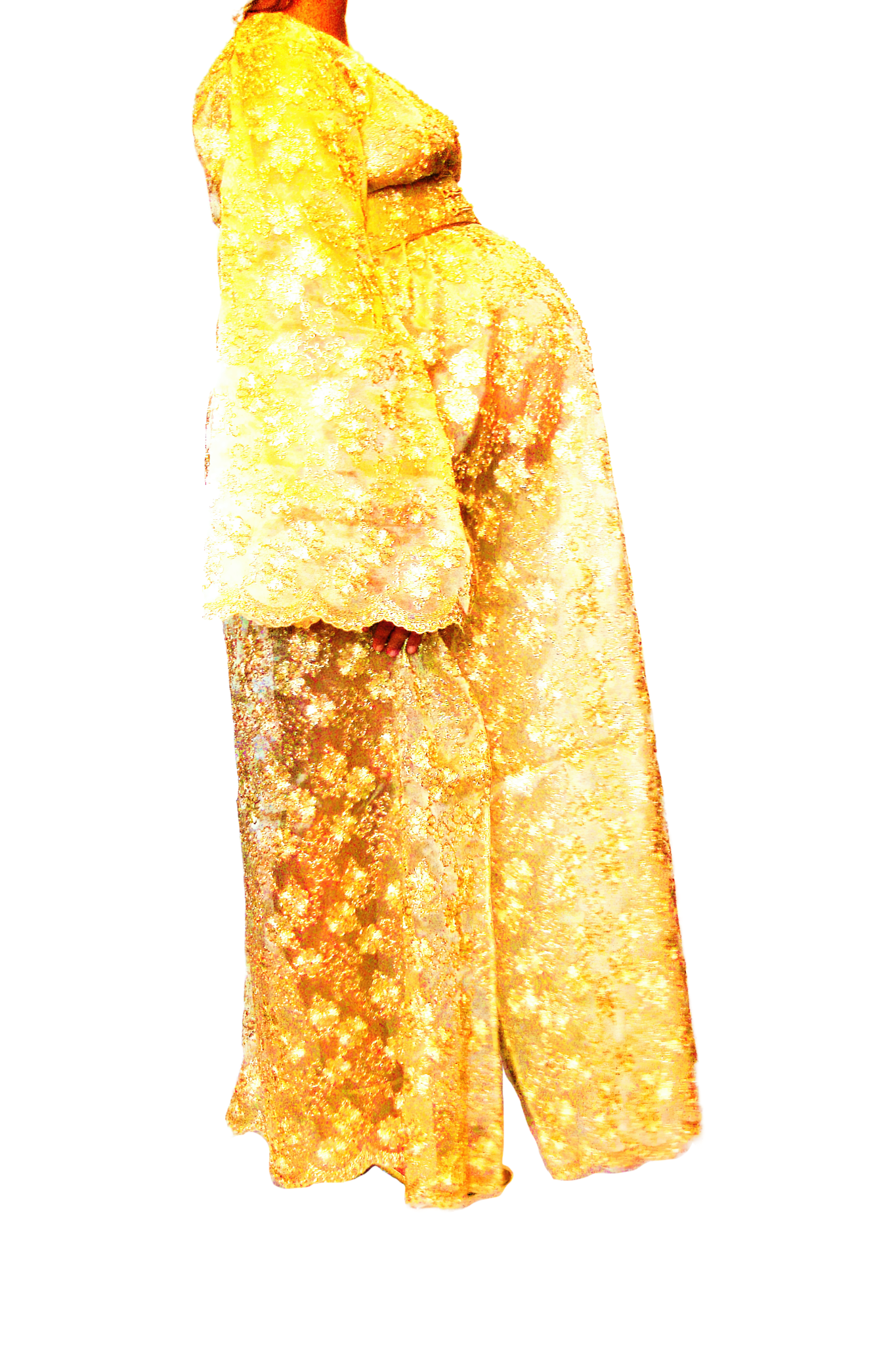 Le Corps Pansant - 2009